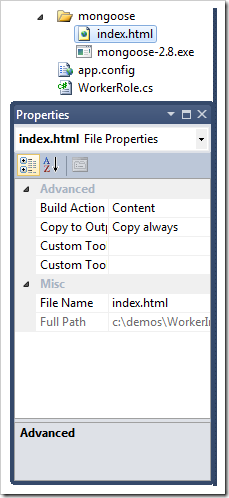 VS file properties - screenshot